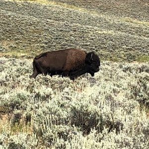 Meet your Posher, Tim